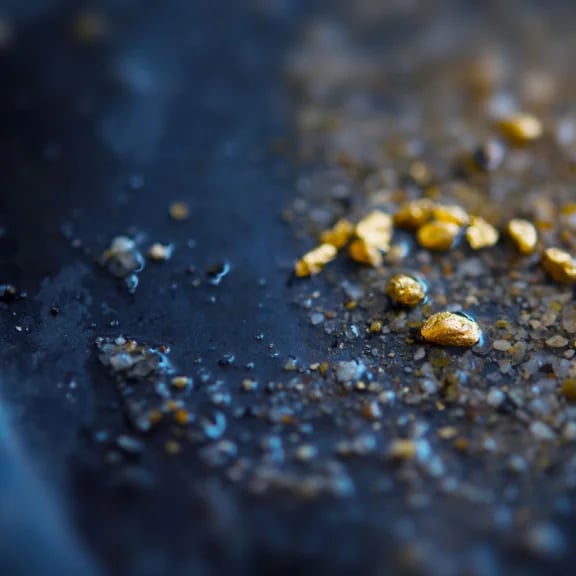 img-ecosystems-gold-ore-tall